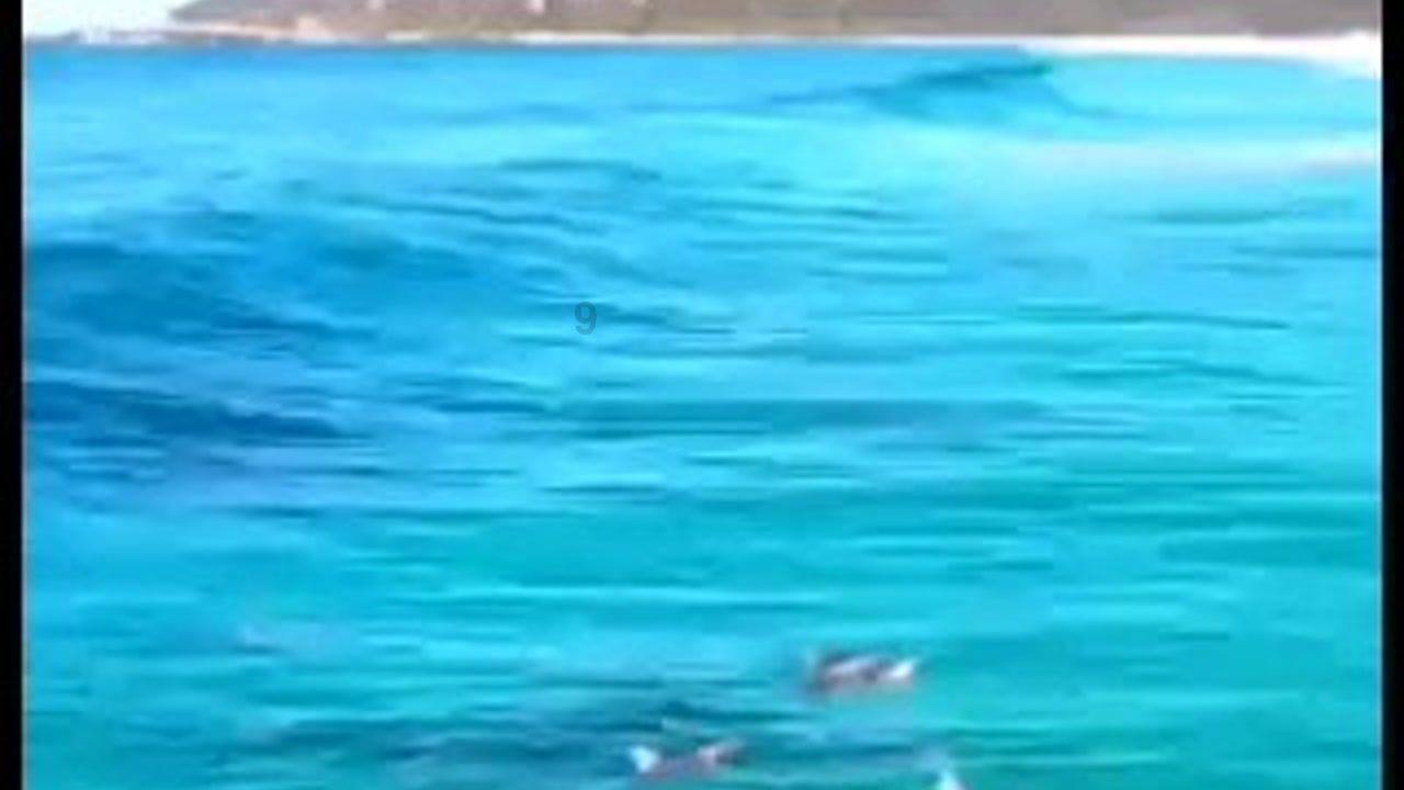 波西亚时光